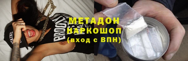 прущие грибы Ладушкин