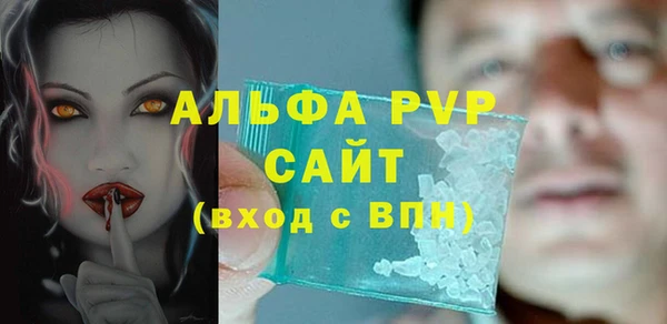 прущие грибы Ладушкин