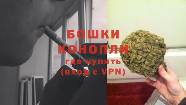 прущие грибы Ладушкин