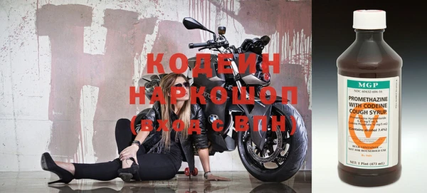 прущие грибы Ладушкин