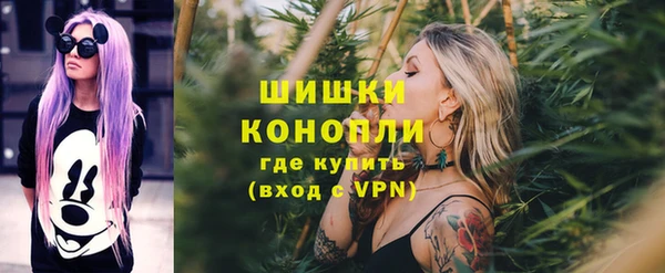 прущие грибы Ладушкин
