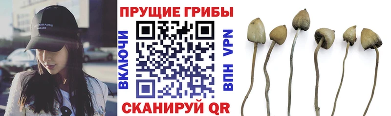 гидра маркетплейс  Дудинка  Галлюциногенные грибы GOLDEN TEACHER 